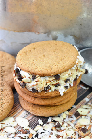 Homemade Monster Ice Cream Sandwiches