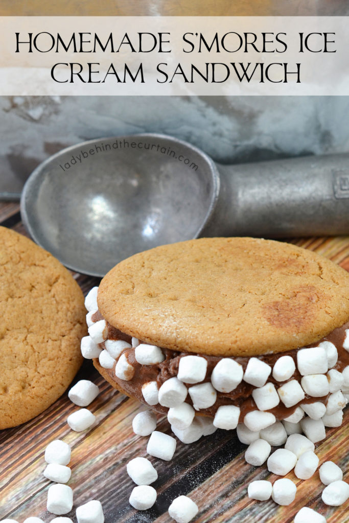 Homemade S'mores Ice Cream Sandwiches