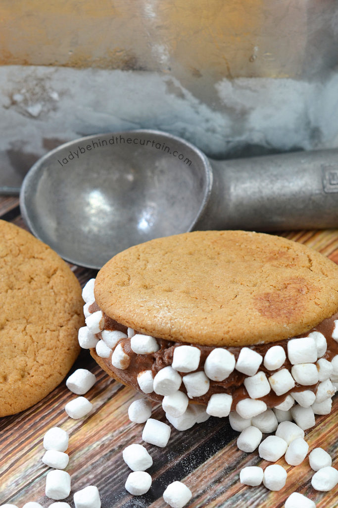 Homemade S'mores Ice Cream Sandwiches