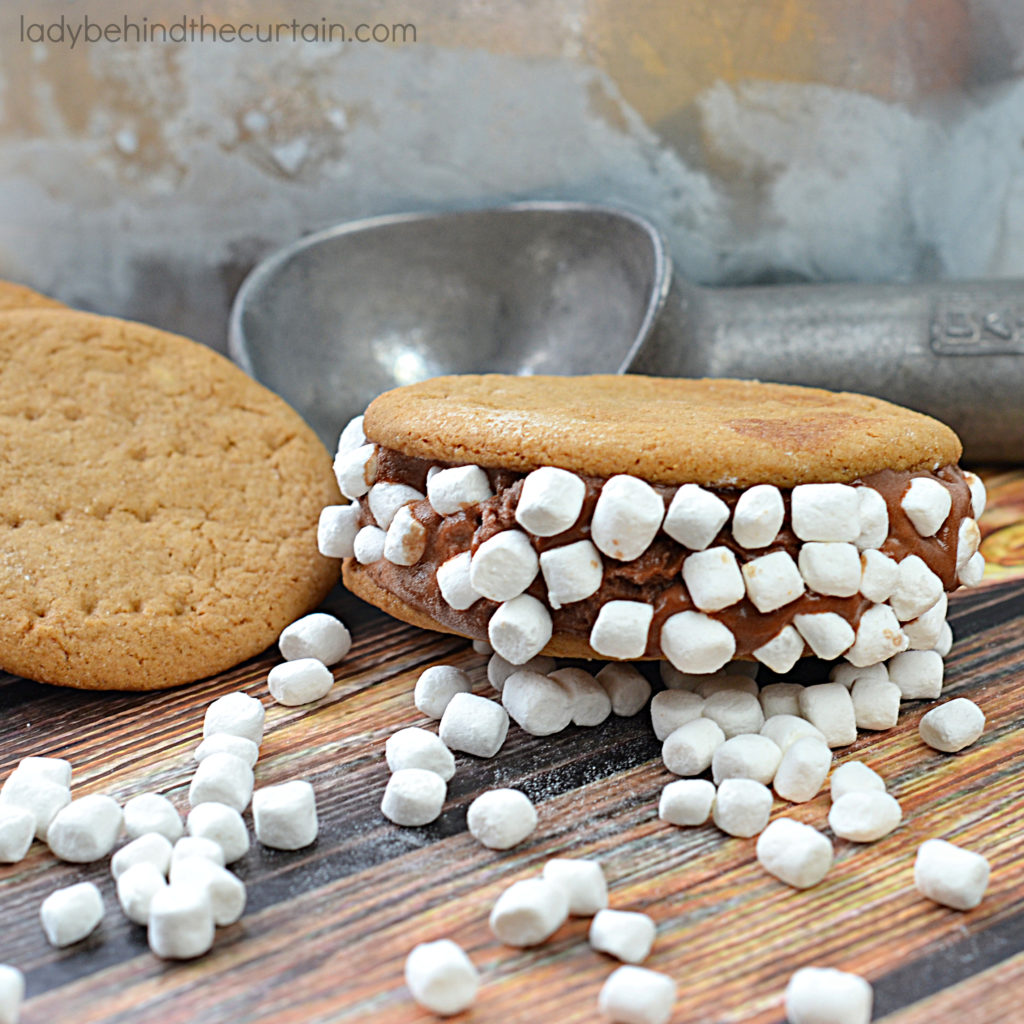 Homemade S'mores Ice Cream Sandwiches