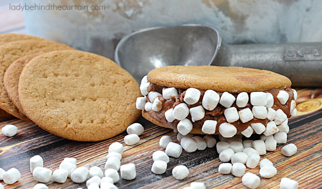 Homemade S'mores Ice Cream Sandwiches