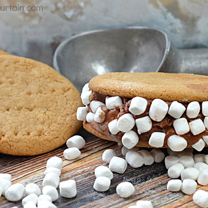 Homemade S'mores Ice Cream Sandwiches