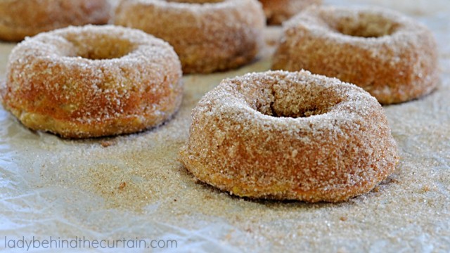 Overnight Baked Apple Spice Donuts 7710