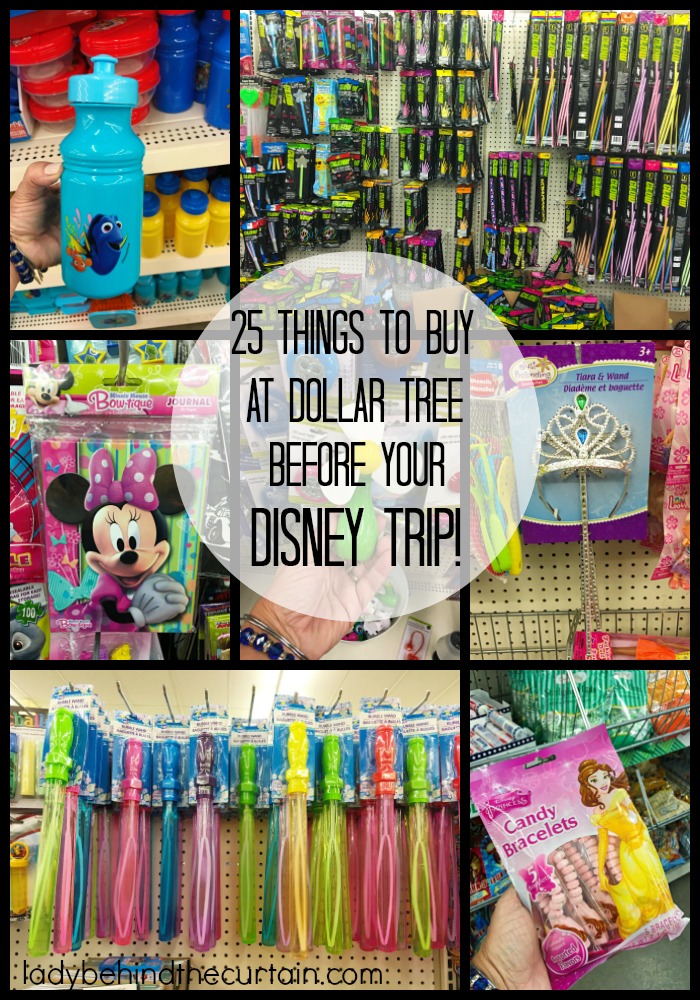25 Things To Buy At Dollar Tree BEFORE Your Disney Trip