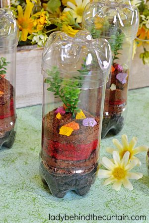 Triple Chocolate Terrarium Dessert