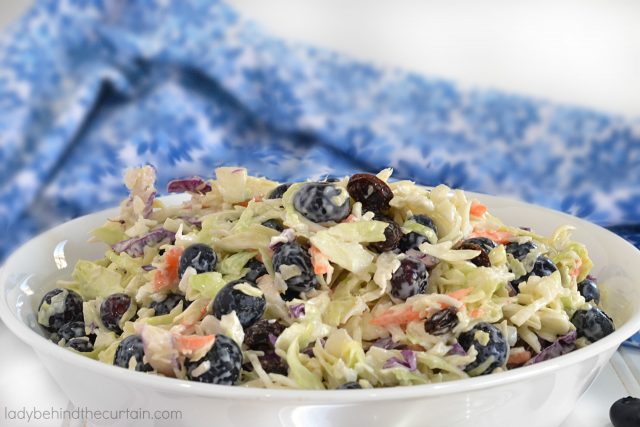 Light Blueberry Coleslaw, summer salad, picnic salad, barbecue salad