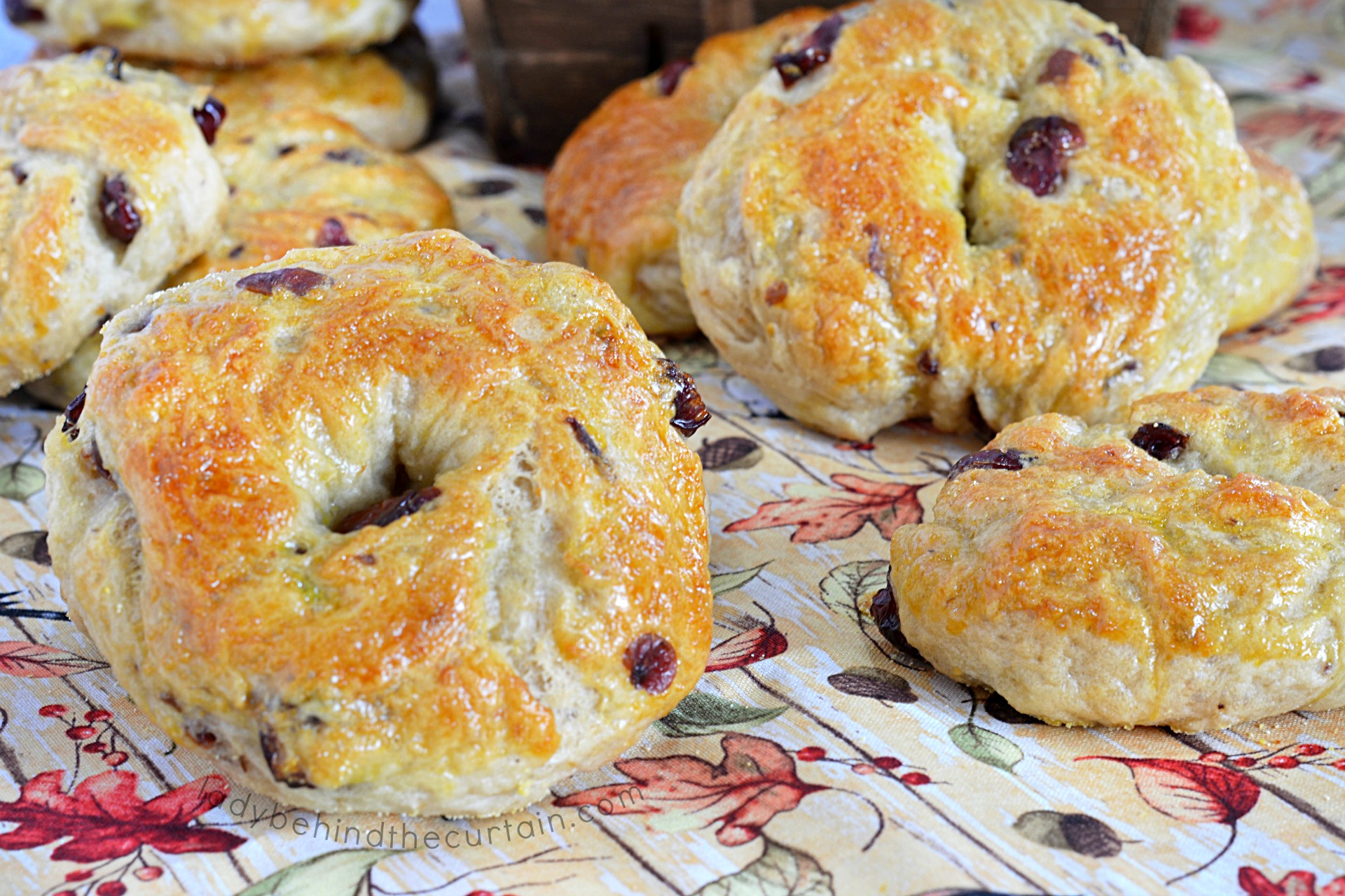 Cranberry Orange Bagels