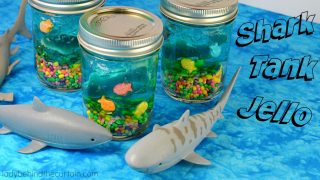 Shark Tank Jello