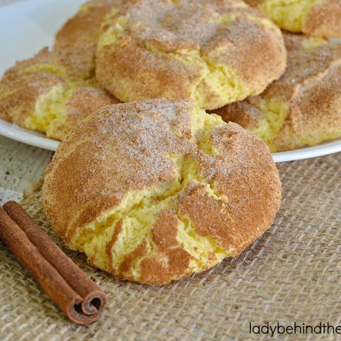 Snickerdoodle Cake Mix Cookie Recipe