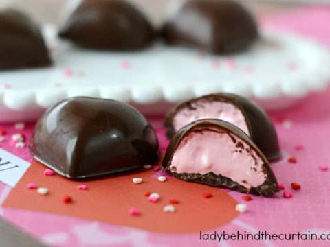 https://www.ladybehindthecurtain.com/wp-content/uploads/2019/10/Strawberry-Marshmallow-Filled-Chocolates-Lady-Behind-The-Curtain-13-480x360.jpg