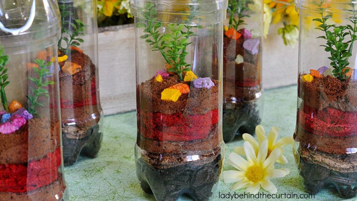 Triple Chocolate Terrarium Dessert