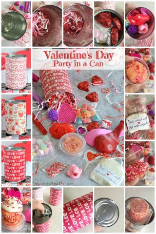 Valentine's Day Party in a Can