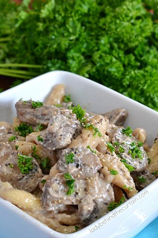 Instant Pot Beef Stroganoff