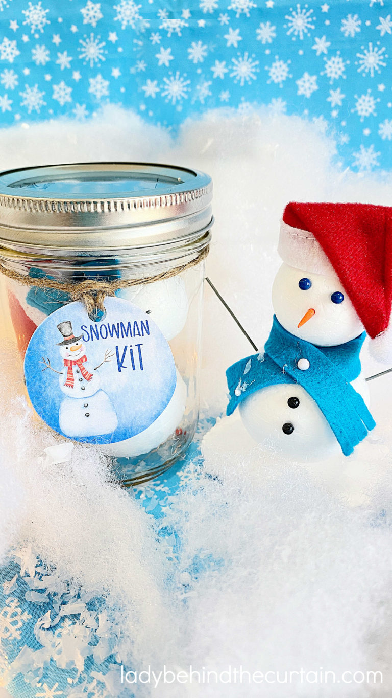 build-a-snowman-kit