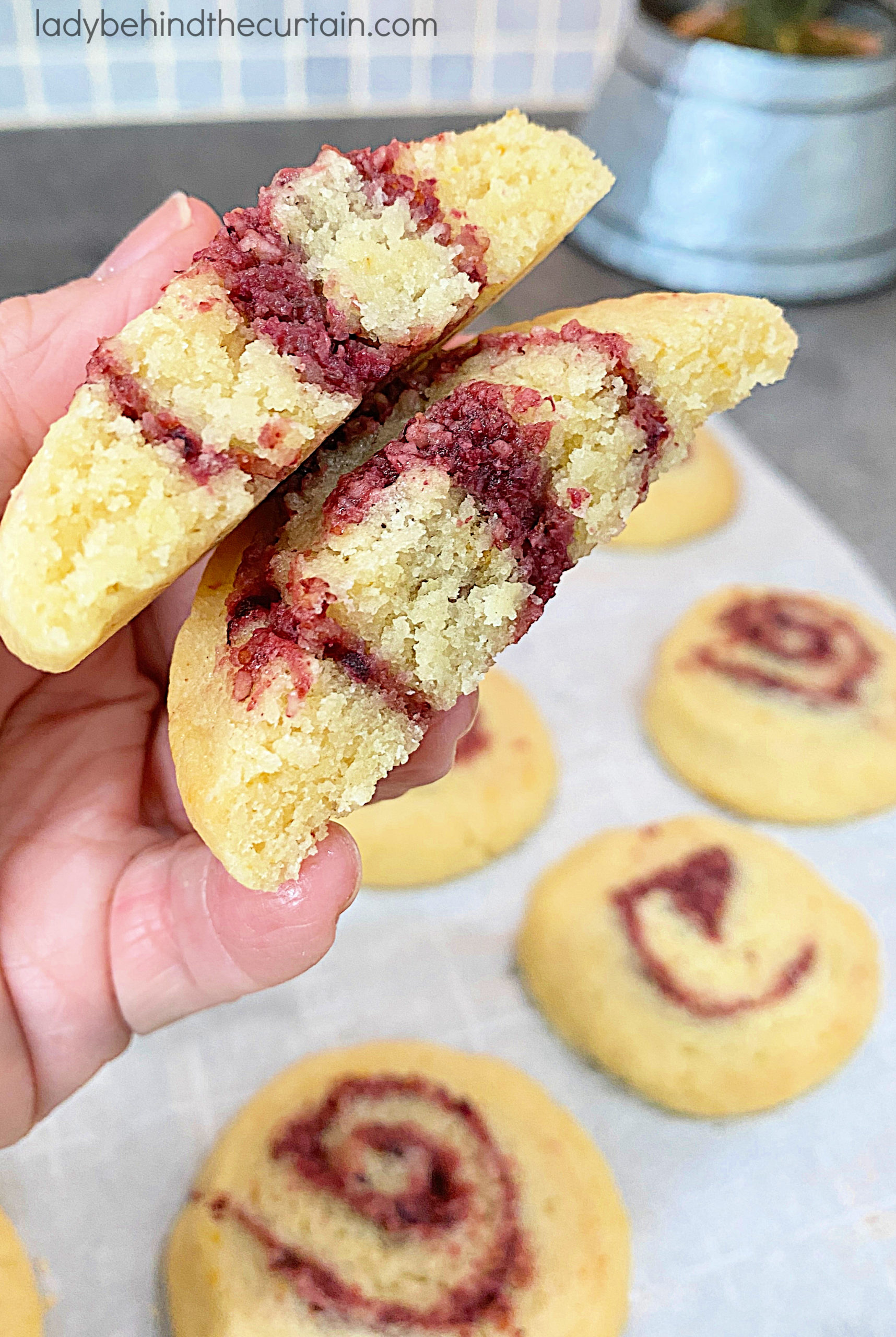 cranberry-orange-pinwheel-cookies