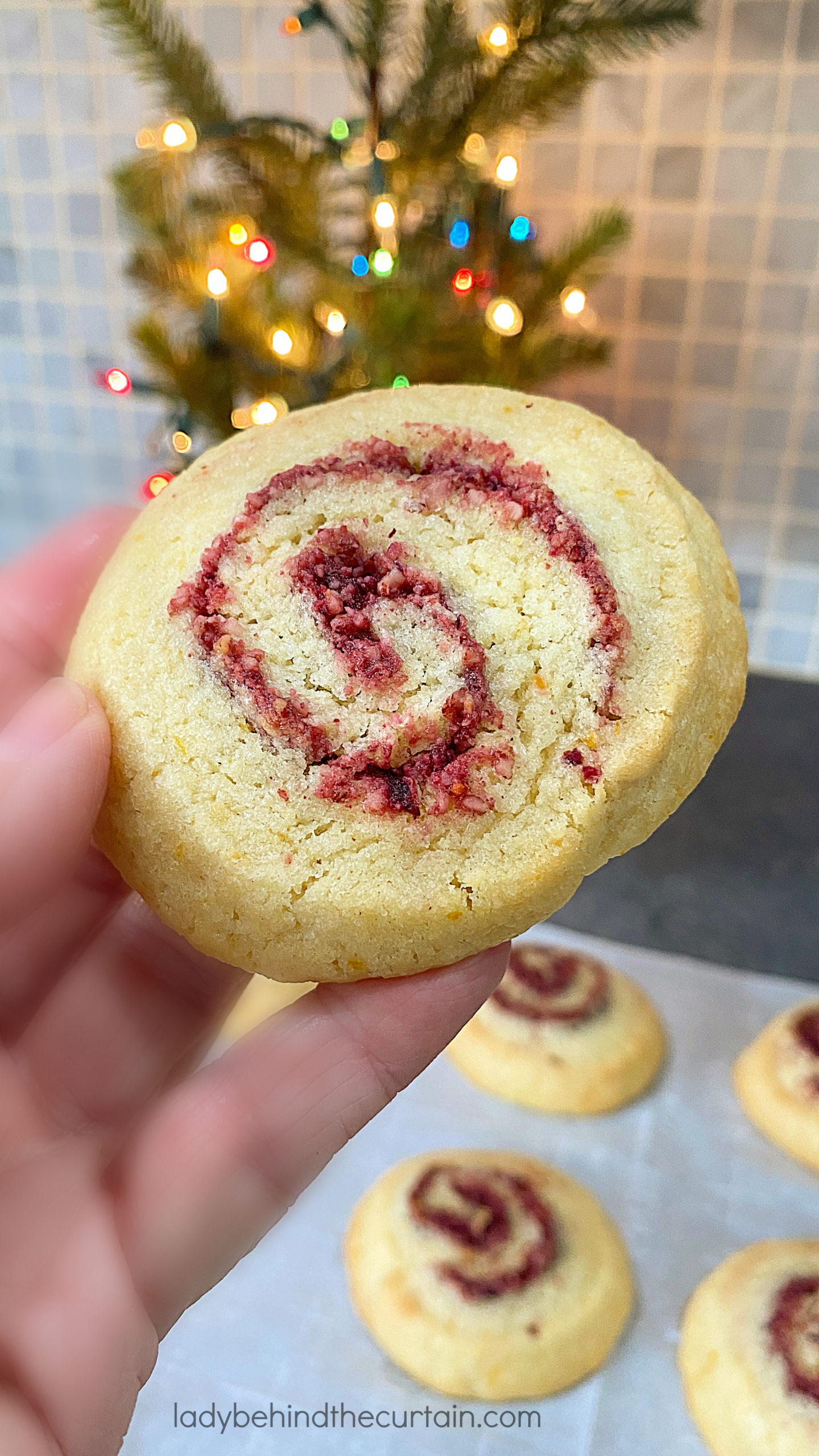 cranberry-orange-pinwheel-cookies