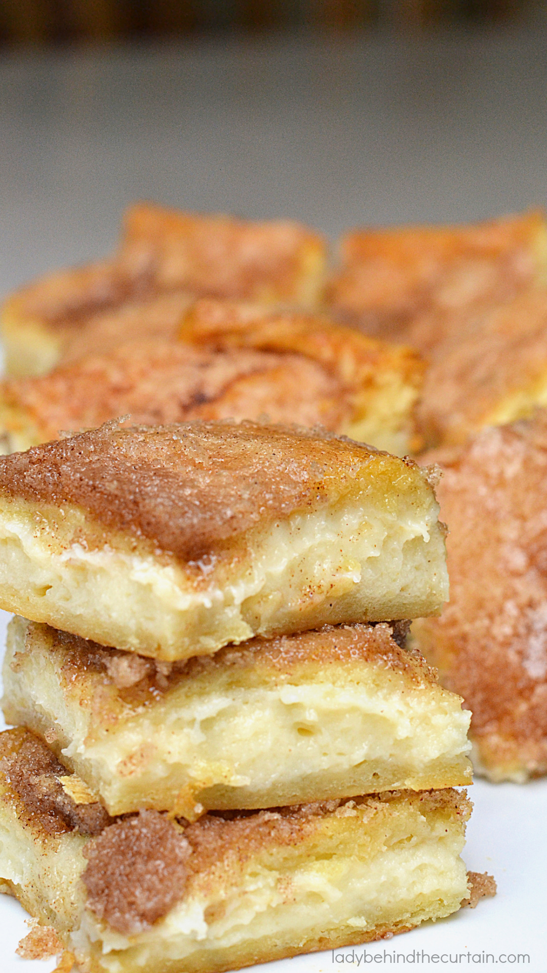 https://www.ladybehindthecurtain.com/wp-content/uploads/2023/01/Sopapilla-Cheesecake-Squares-2.jpg