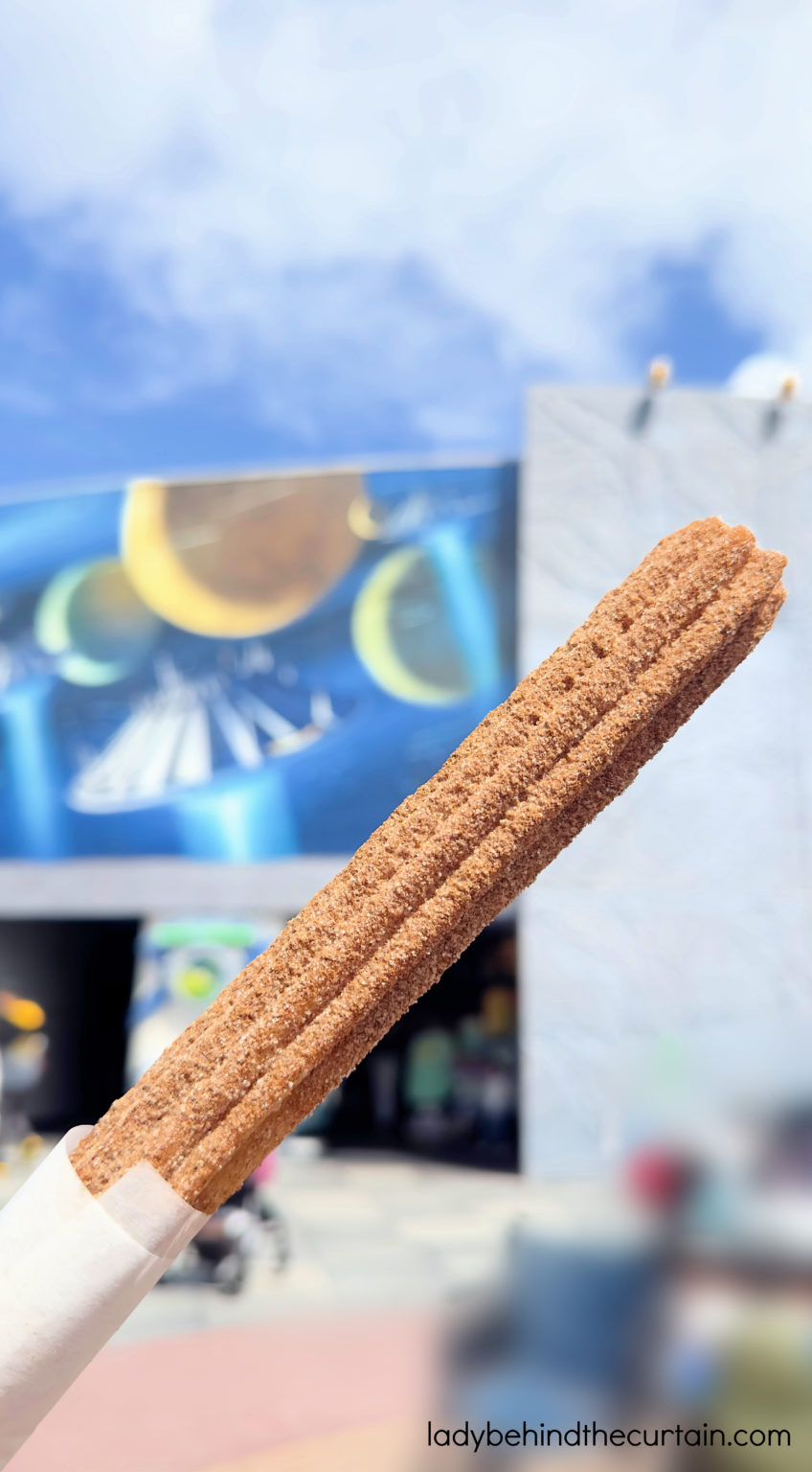 8 Copycat Disneyland Churro Recipes