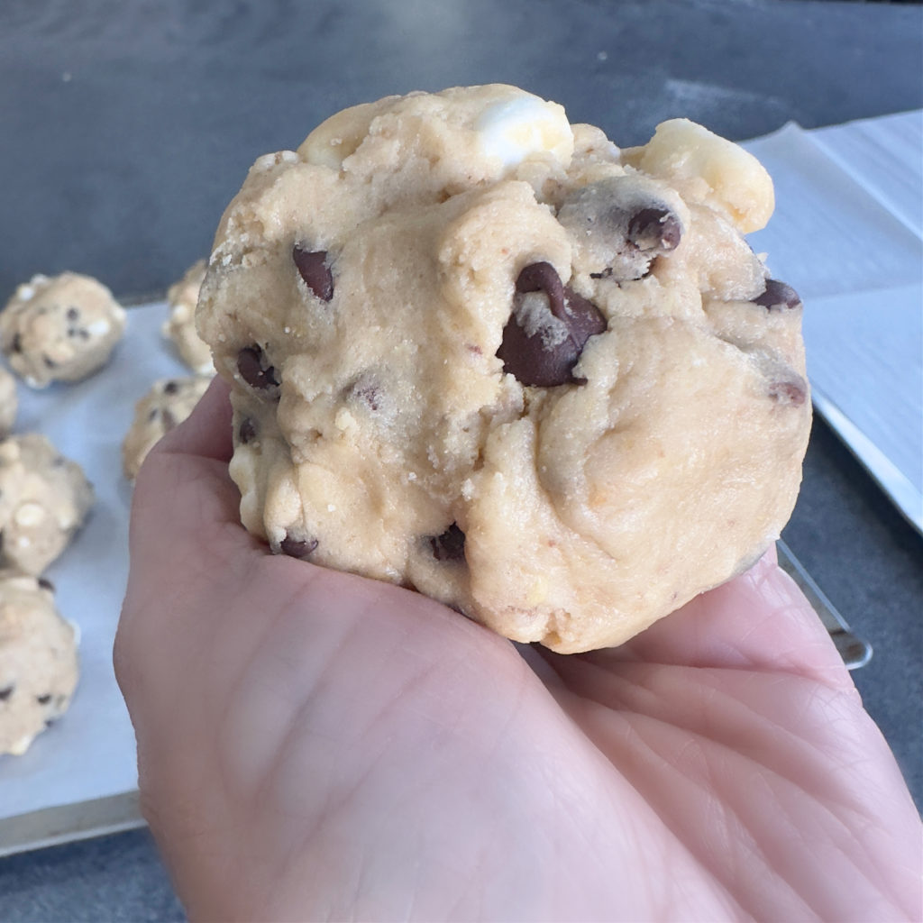 Large Gourmet S'mores Cookies