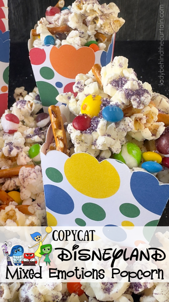 Copycat Disneyland Mixed Emotions Popcorn