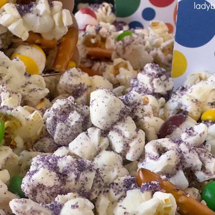 Copycat Disneyland Mixed Emotions Popcorn