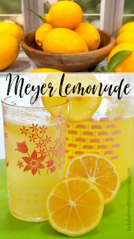 Meyer Lemonade