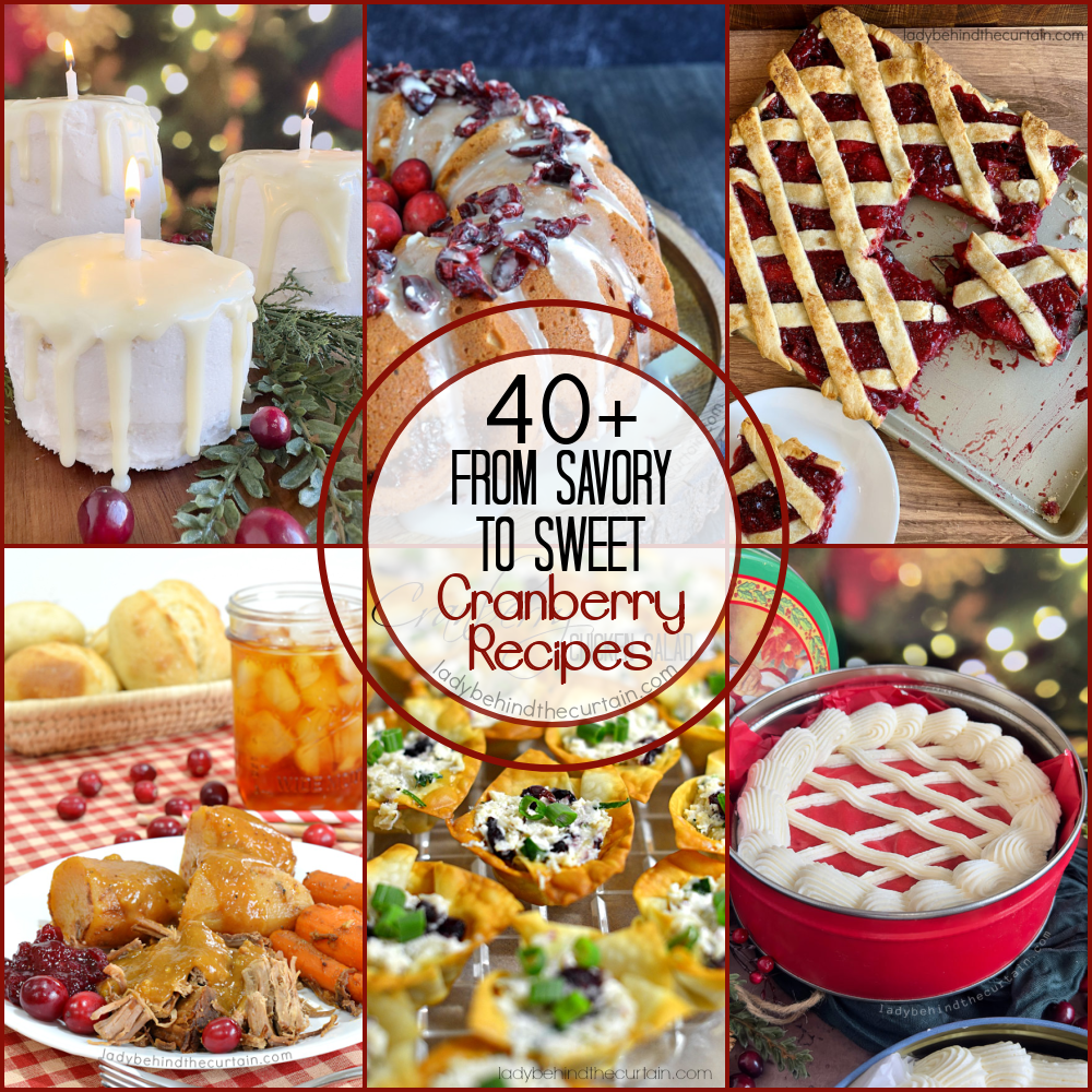 40+ From Savory to Sweet Cranberry Recipes