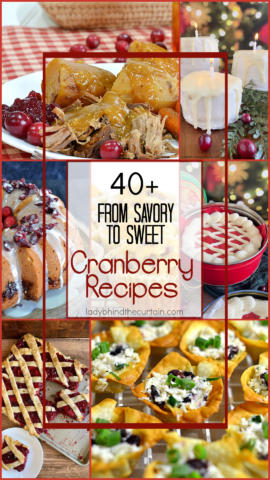 40+ From Savory to Sweet Cranberry Recipes