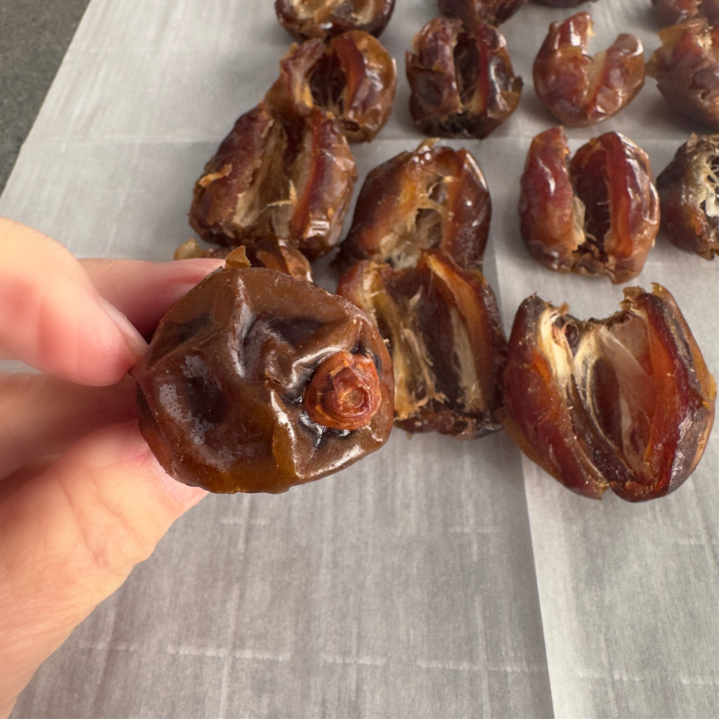 Homemade Date Bark Candy Recipe