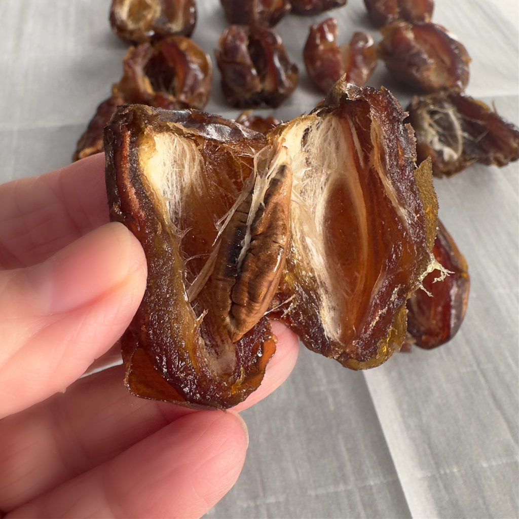 Homemade Date Bark Candy Recipe