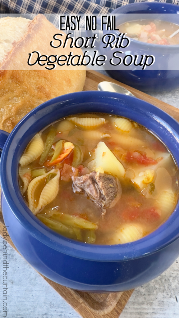 Easy No Fail Short Rib Vegetable Soup